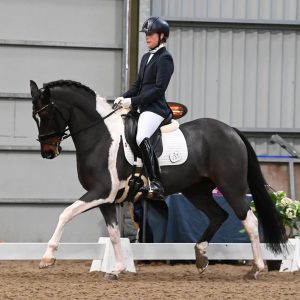 *Members Only* Flatwork with Annie Hunter Blair at Wier End Farm - 22nd January